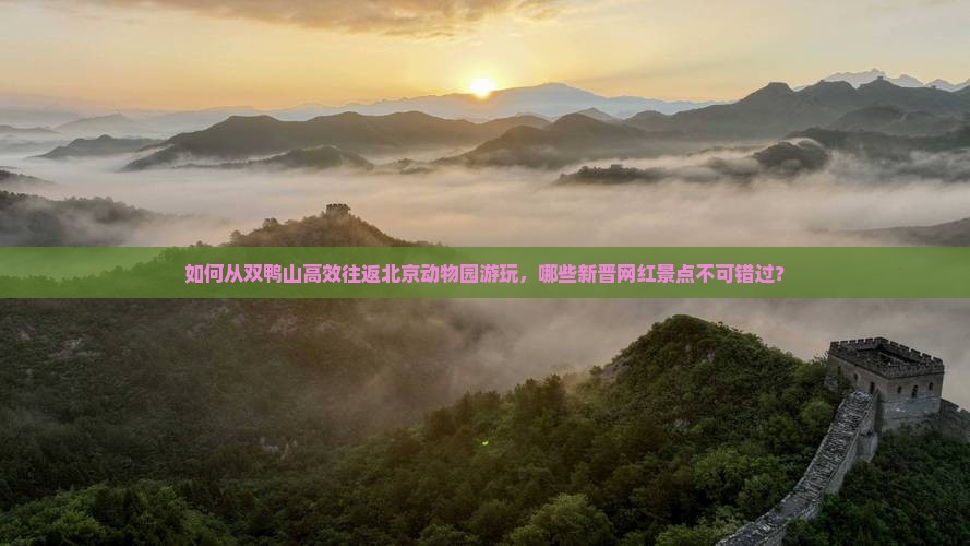 如何从双鸭山高效往返北京动物园游玩，哪些新晋网红景点不可错过？