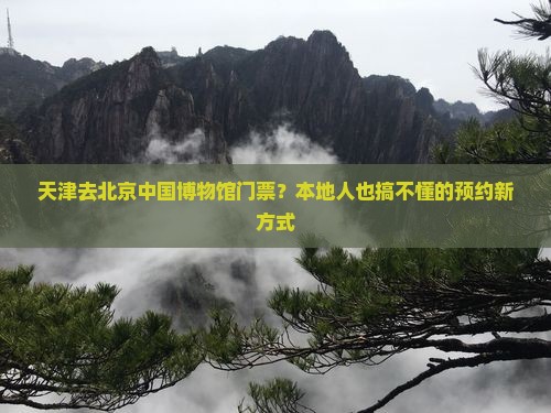 天津去北京中国博物馆门票？本地人也搞不懂的预约新方式