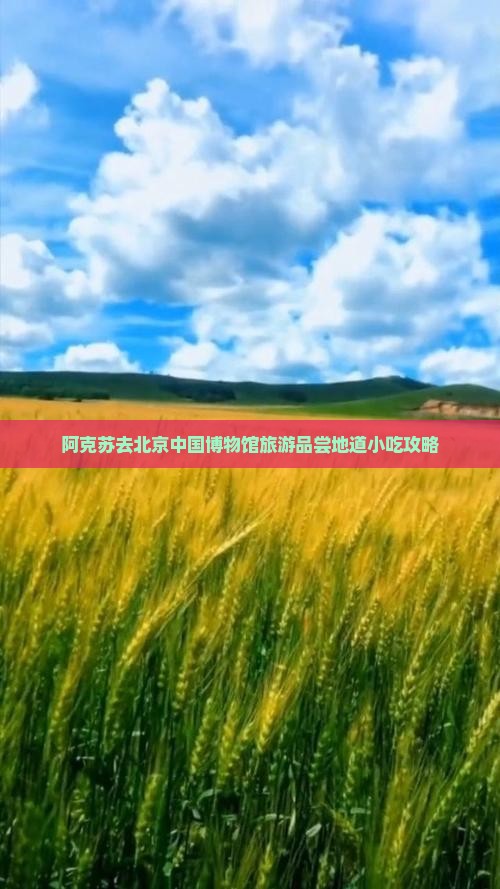阿克苏去北京中国博物馆旅游品尝地道小吃攻略