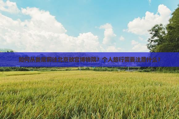 如何从娄底前往北京故宫博物院？个人旅行需要注意什么？