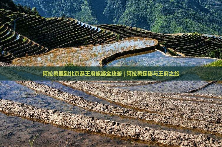 阿拉善盟到北京恭王府旅游全攻略 | 阿拉善探秘与王府之旅