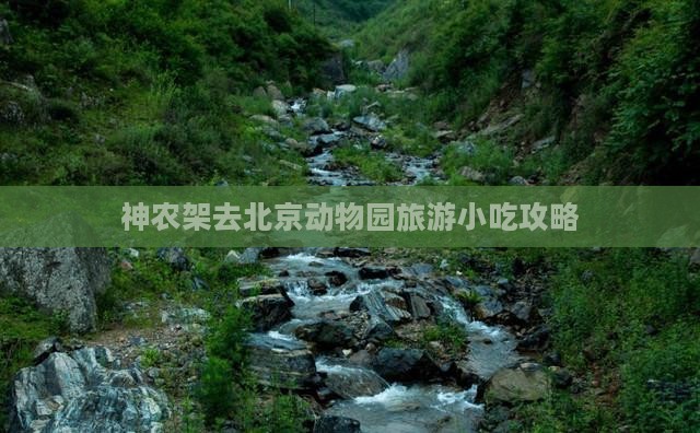 神农架去北京动物园旅游小吃攻略