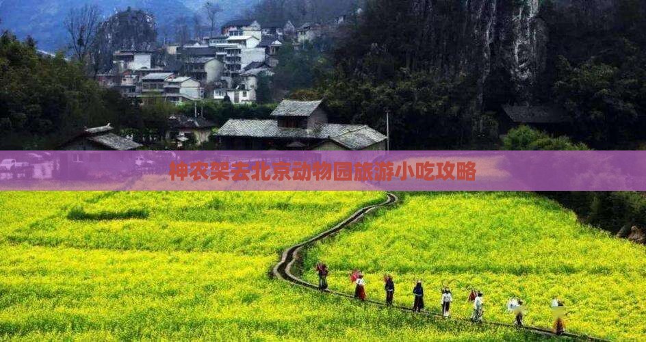 神农架去北京动物园旅游小吃攻略