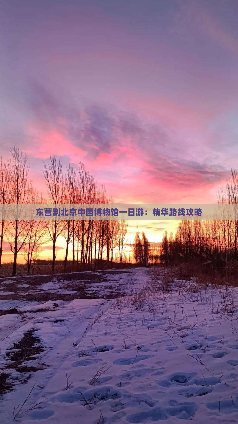 东营到北京中国博物馆一日游：精华路线攻略