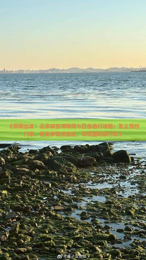 《铜陵出发！北京故宫博物院七日自由行攻略：怎么预约门票，看更多景点信息，尽在国际旅行社》
