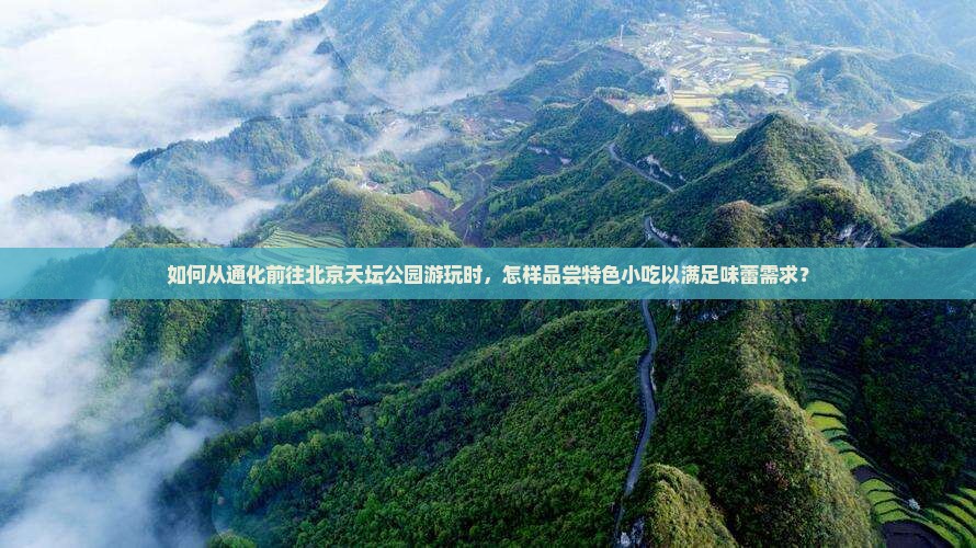 如何从通化前往北京天坛公园游玩时，怎样品尝特色小吃以满足味蕾需求？