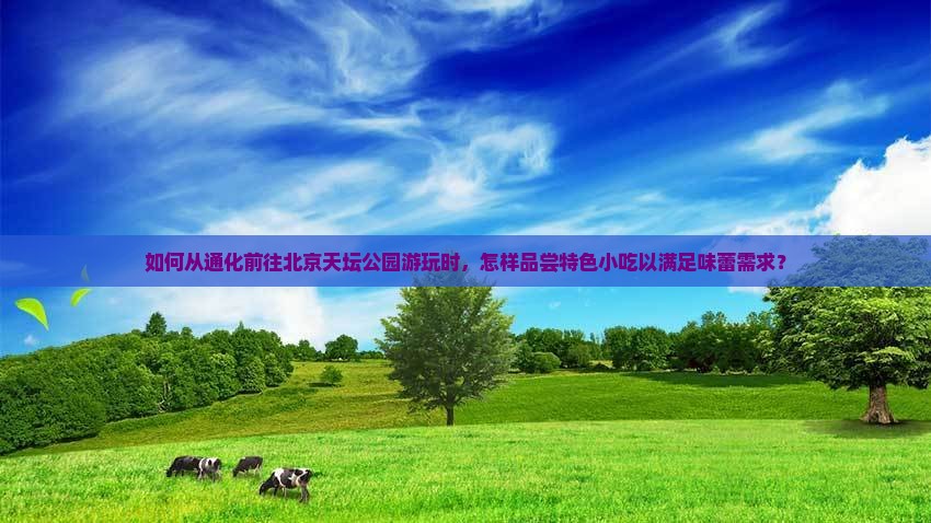 如何从通化前往北京天坛公园游玩时，怎样品尝特色小吃以满足味蕾需求？