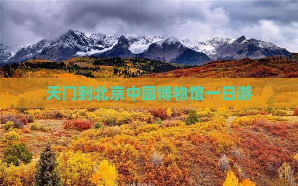 天门到北京中国博物馆一日游