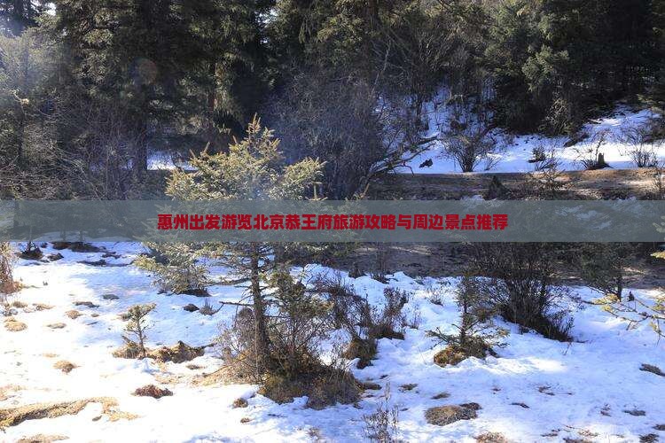 惠州出发游览北京恭王府旅游攻略与周边景点推荐