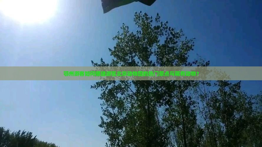 鄂州游客如何便捷游览北京动物园的热门景点与稀有动物？