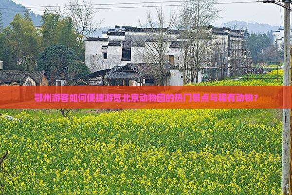 鄂州游客如何便捷游览北京动物园的热门景点与稀有动物？