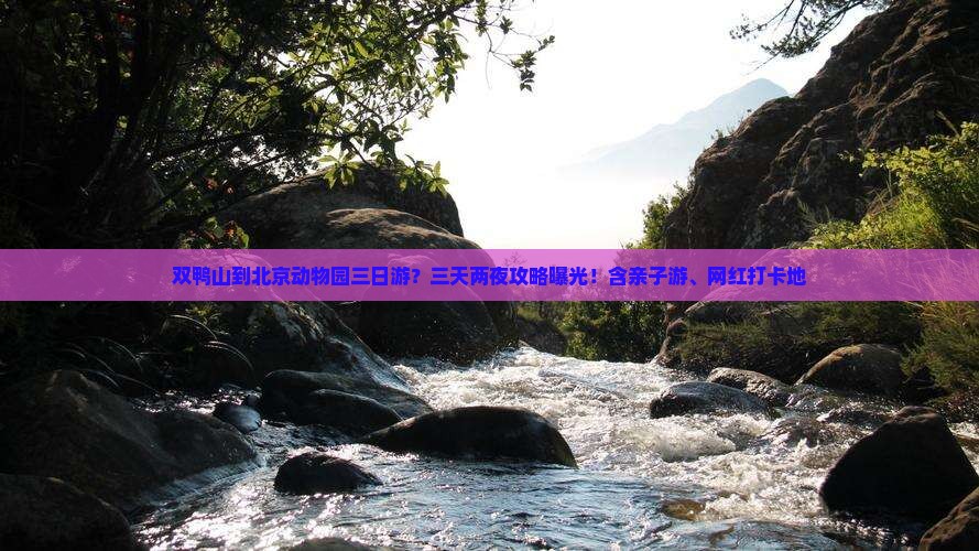 双鸭山到北京动物园三日游？三天两夜攻略曝光！含亲子游、网红打卡地