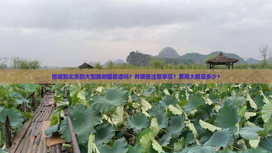 塔城到北京的大型旅游团靠谱吗？有哪些注意事项？费用大概是多少？