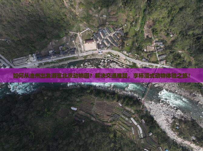 如何从池州出发游览北京动物园？解决交通难题，享柿浸式动物体验之旅！