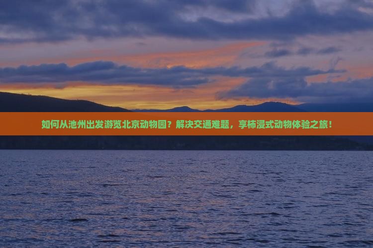 如何从池州出发游览北京动物园？解决交通难题，享柿浸式动物体验之旅！