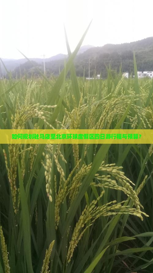 如何规划驻马店至北京环球度假区四日游行程与预算？