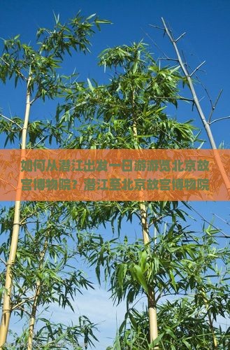 如何从潜江出发一日游游览北京故宫博物院？潜江至北京故宫博物院一日游攻略及交通指南
