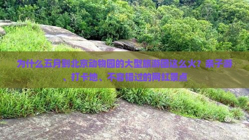 为什么五月到北京动物园的大型旅游团这么火？亲子游、打卡地、不容错过的网红景点