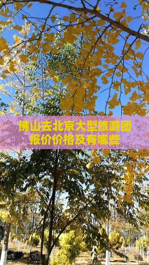 佛山去北京大型旅游团报价价格及有哪些