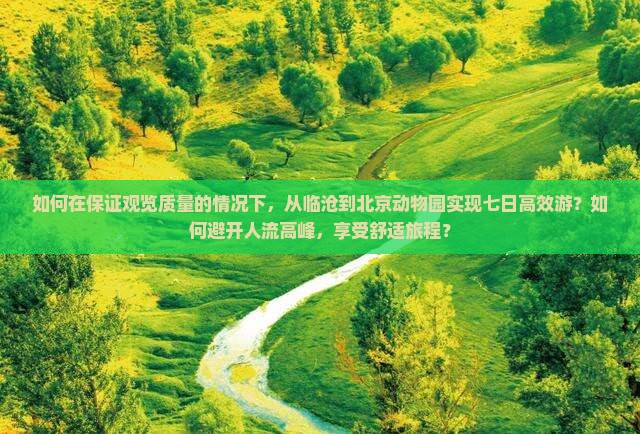 如何在保证观览质量的情况下，从临沧到北京动物园实现七日高效游？如何避开人流高峰，享受舒适旅程？