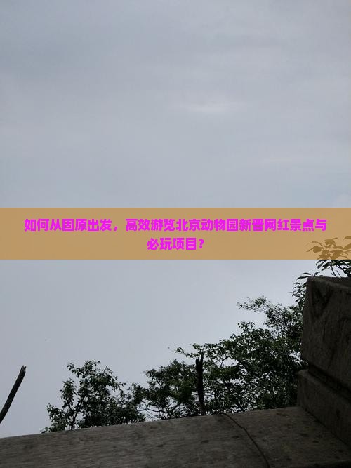 如何从固原出发，高效游览北京动物园新晋网红景点与必玩项目？