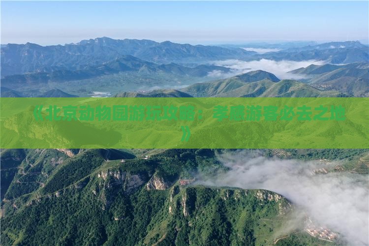 《北京动物园游玩攻略：孝感游客必去之地》