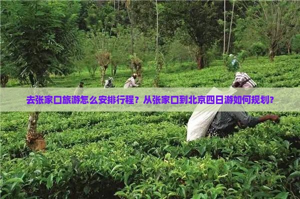 去张家口旅游怎么安排行程？从张家口到北京四日游如何规划？
