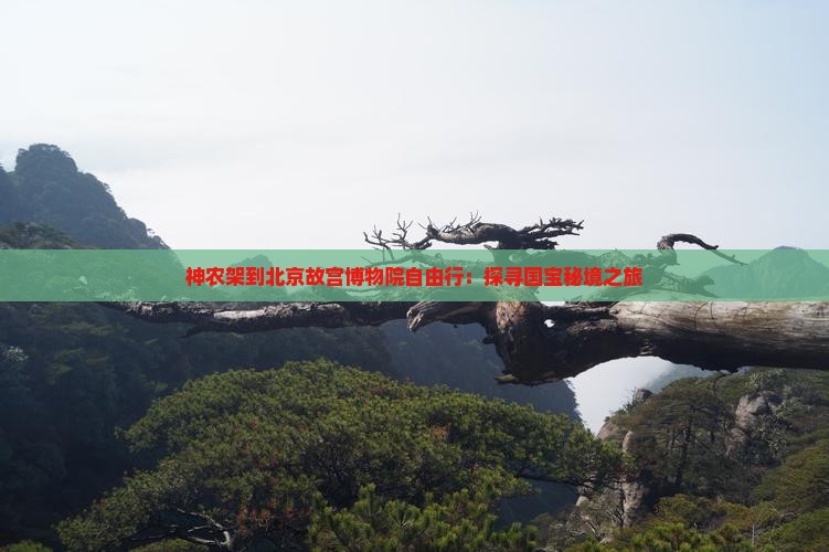 神农架到北京故宫博物院自由行：探寻国宝秘境之旅
