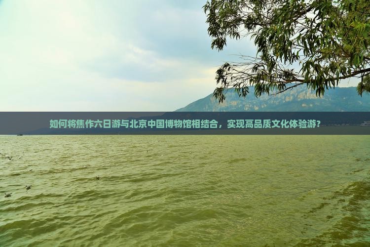 如何将焦作六日游与北京中国博物馆相结合，实现高品质文化体验游？