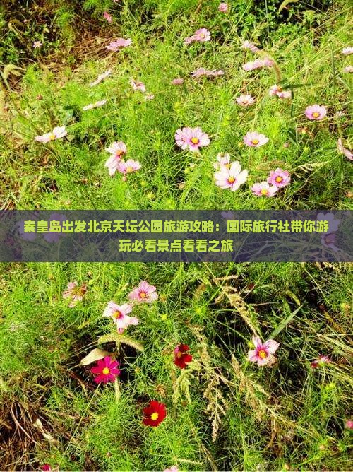 秦皇岛出发北京天坛公园旅游攻略：国际旅行社带你游玩必看景点看看之旅