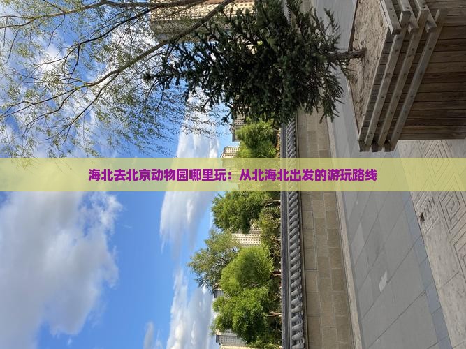 海北去北京动物园哪里玩：从北海北出发的游玩路线