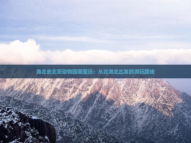 海北去北京动物园哪里玩：从北海北出发的游玩路线
