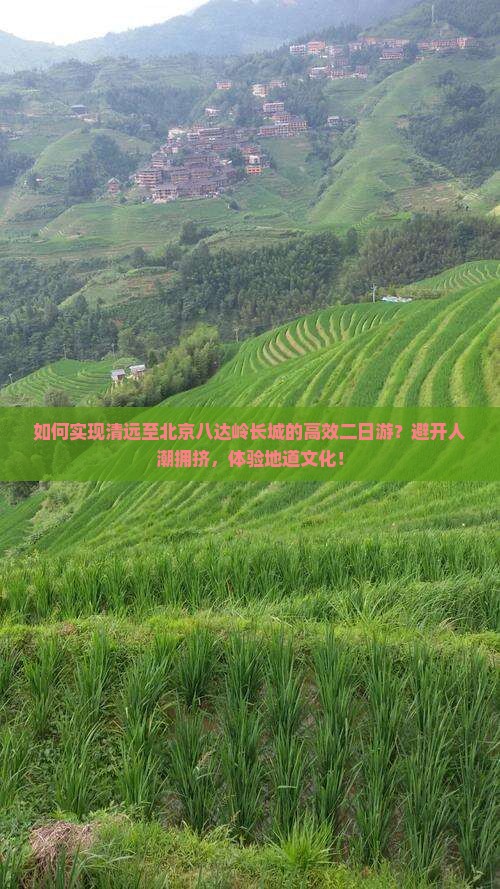 如何实现清远至北京八达岭长城的高效二日游?避开人潮拥挤,体验地道文化! 如何实现清远至北京八达岭长城的高效二日游?避开人潮拥挤,体验地道文化!