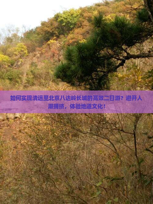 如何实现清远至北京八达岭长城的高效二日游?避开人潮拥挤,体验地道文化! 如何实现清远至北京八达岭长城的高效二日游?避开人潮拥挤,体验地道文化!