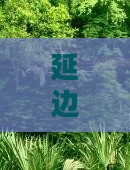 延边去北京八达岭长城旅游路线及团费攻略 延边去北京八达岭长城旅游路线及团费攻略
