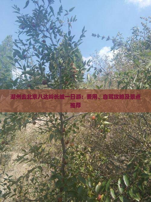 湖州去北京八达岭长城一日游:费用、自驾攻略及景点推荐 湖州去北京八达岭长城一日游:费用、自驾攻略及景点推荐