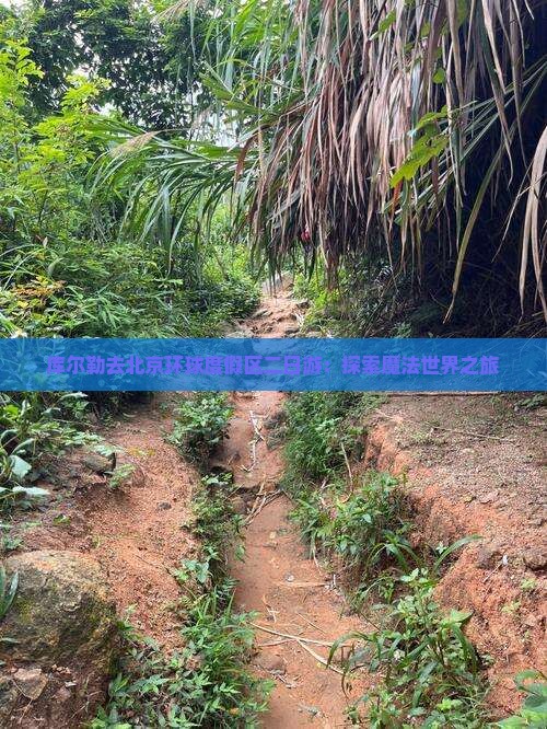 库尔勒去北京环球度假区二日游：探索魔法世界之旅