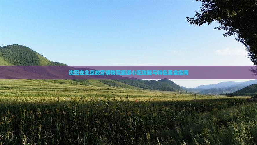 沈阳去北京故宫博物院旅游小吃攻略与特色美食指南
