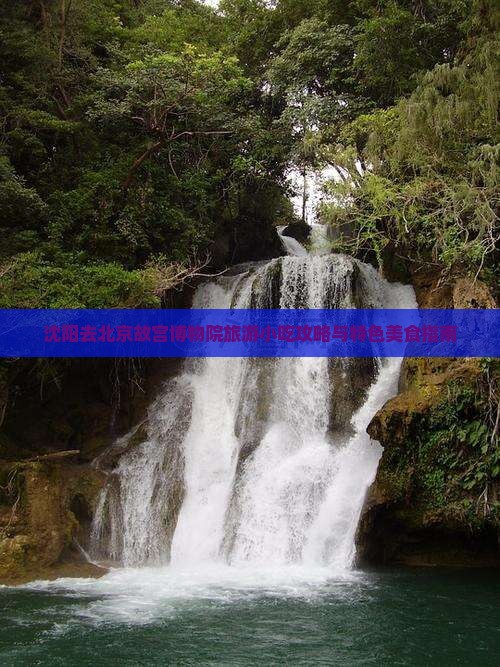 沈阳去北京故宫博物院旅游小吃攻略与特色美食指南