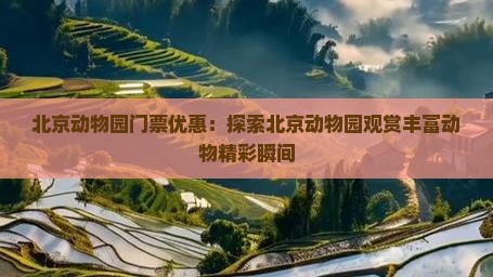 北京动物园门票优惠：探索北京动物园观赏丰富动物精彩瞬间