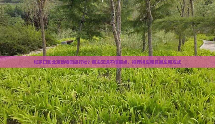 张家口到北京动物园旅行社？解决交通不便痛点，推荐拼车和直通车新方式