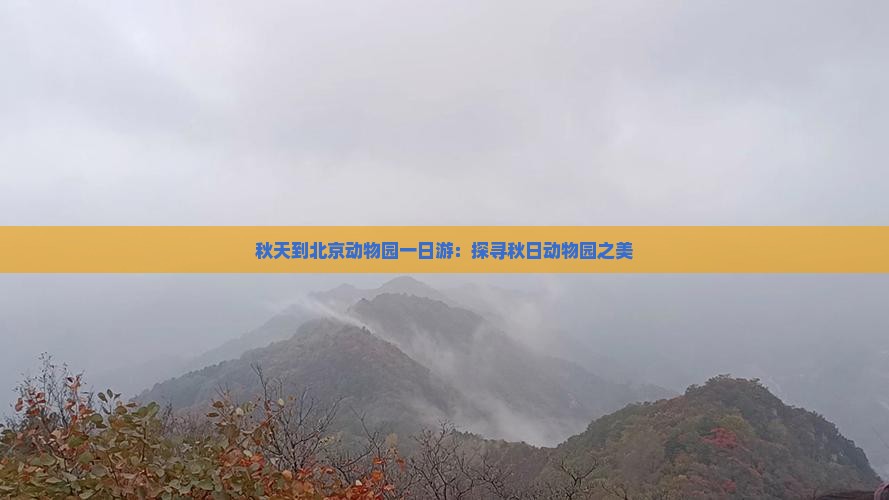 秋天到北京动物园一日游：探寻秋日动物园之美