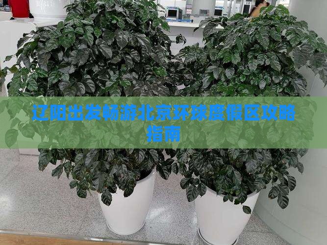 辽阳出发畅游北京环球度假区攻略指南