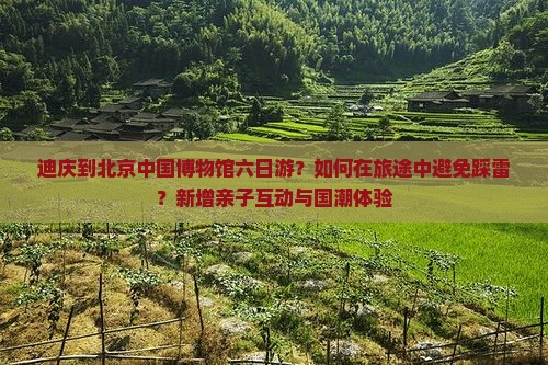 迪庆到北京中国博物馆六日游？如何在旅途中避免踩雷？新增亲子互动与国潮体验