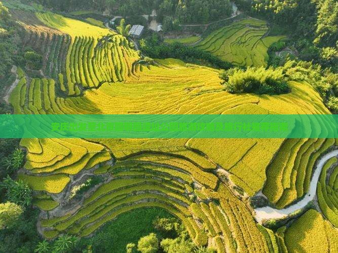 安庆出发至北京圆明园遗址公园旅游攻略及旅行社推荐指南