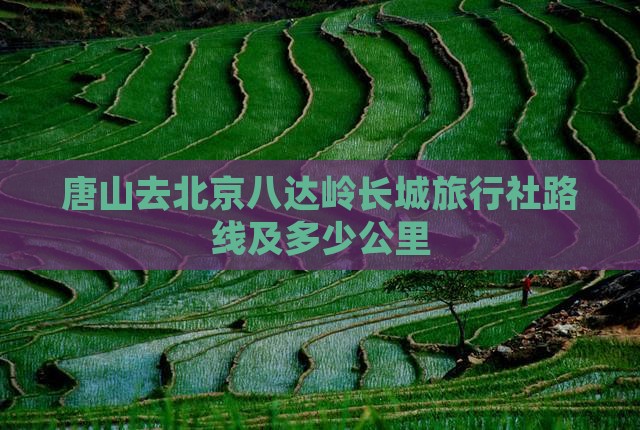 唐山去北京八达岭长城旅行社路线及多少公里