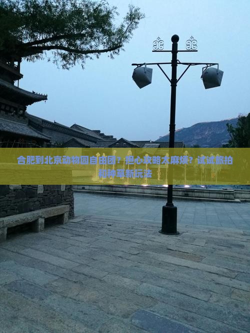 合肥到北京动物园自由团？担心攻略太麻烦？试试旅拍和种草新玩法