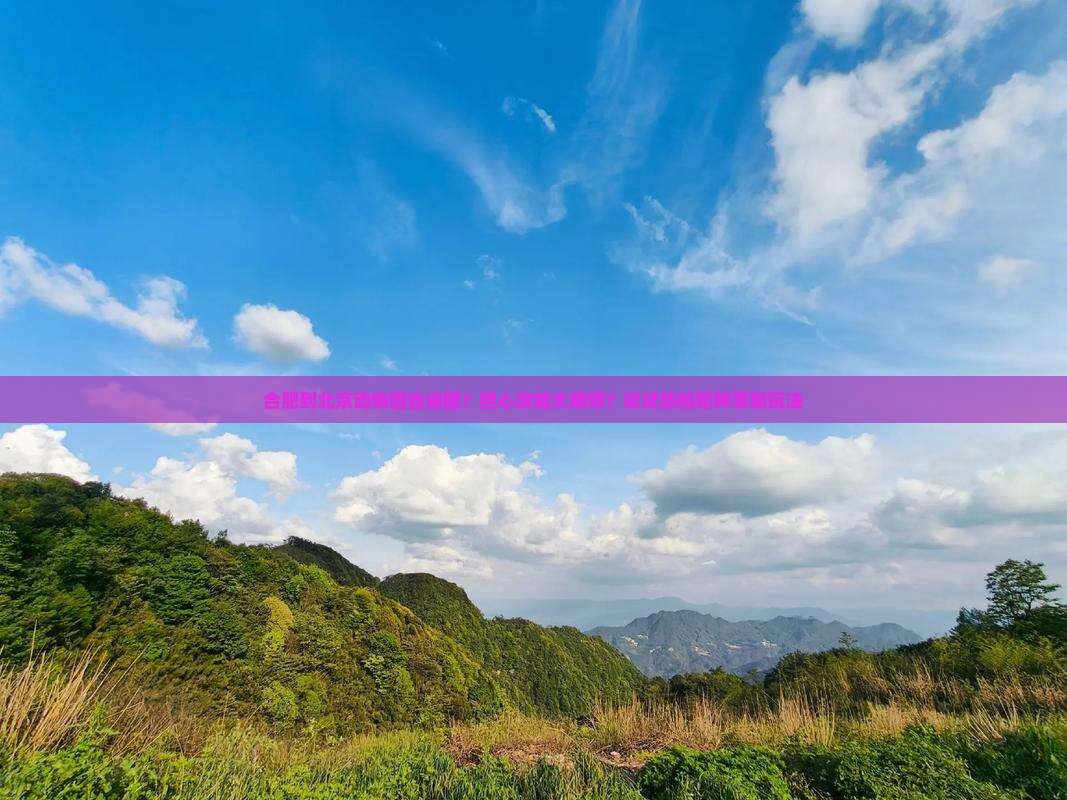 合肥到北京动物园自由团？担心攻略太麻烦？试试旅拍和种草新玩法