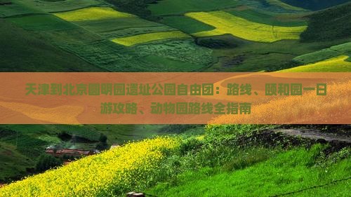 天津到北京圆明园遗址公园自由团：路线、颐和园一日游攻略、动物园路线全指南