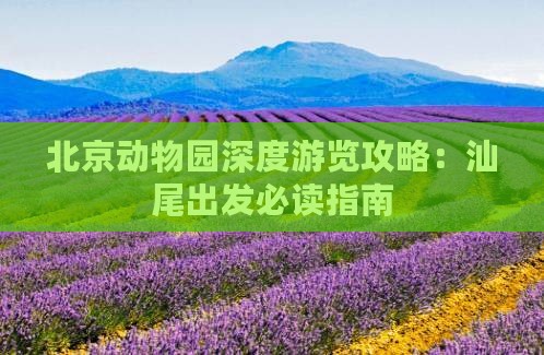 北京动物园深度游览攻略：汕尾出发必读指南